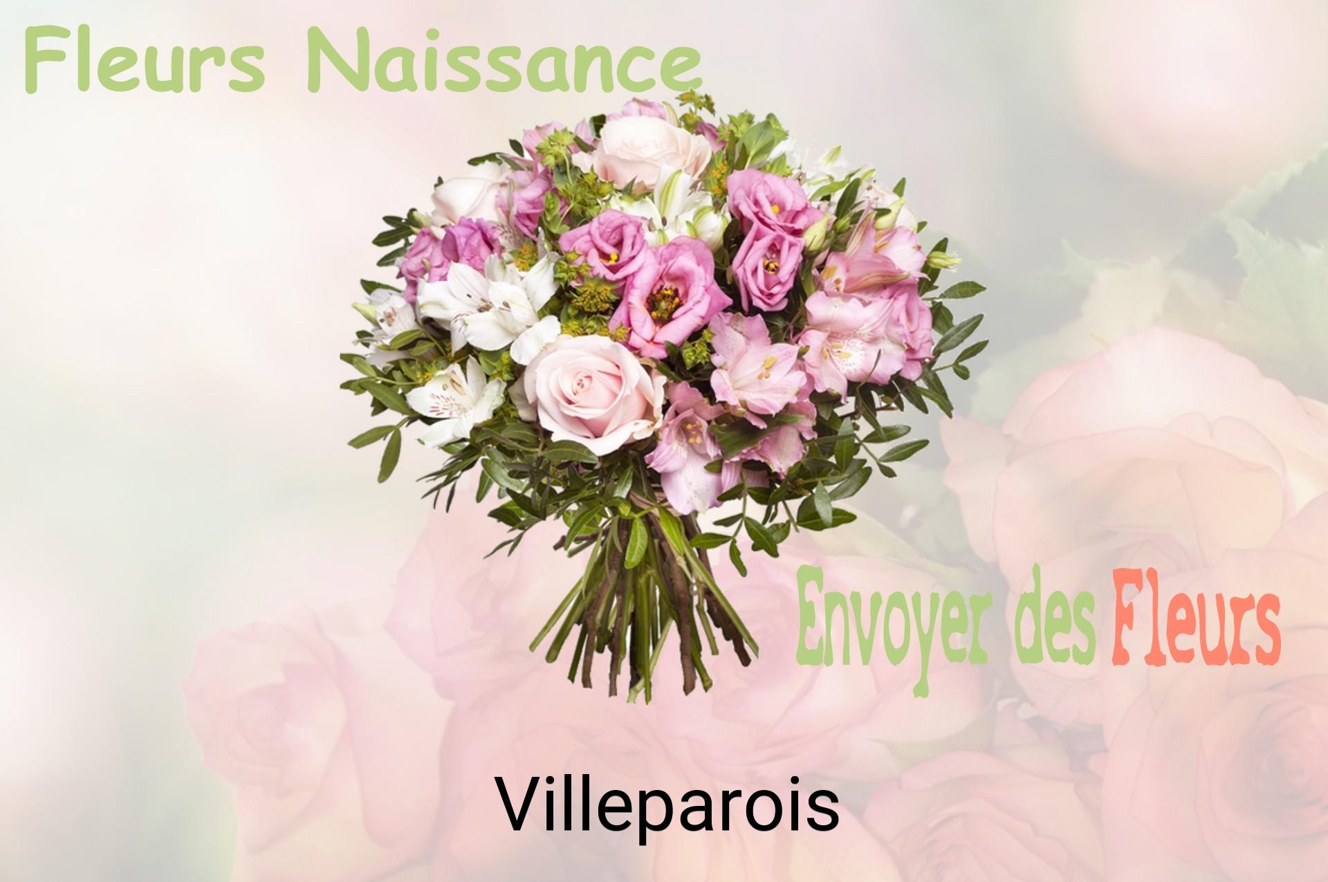 Bouquet de fleurs de naissance livré à Villeparois