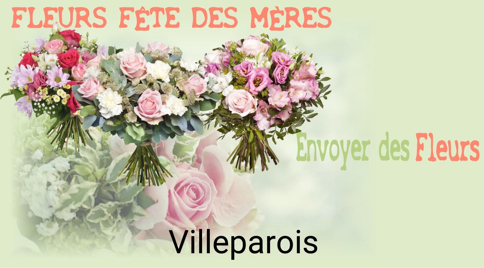 Bouquet de Fête des Mères livré à Villeparois